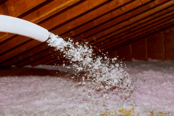 Best Insulation Maintenance and Repair in Georgetown, CO